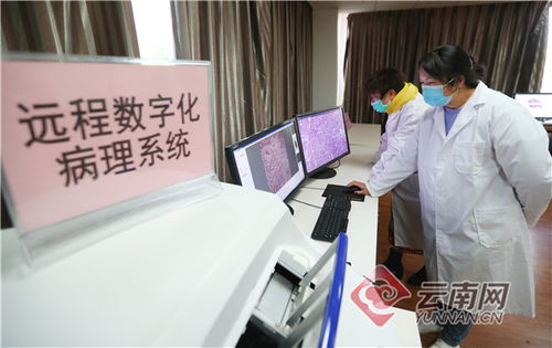 发挥远程医疗设备研发制造服务优势 云南这家公司在战疫工作中大显身手